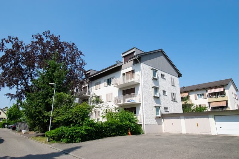 Moderne Studio-Wohnung in Opfikon (1)