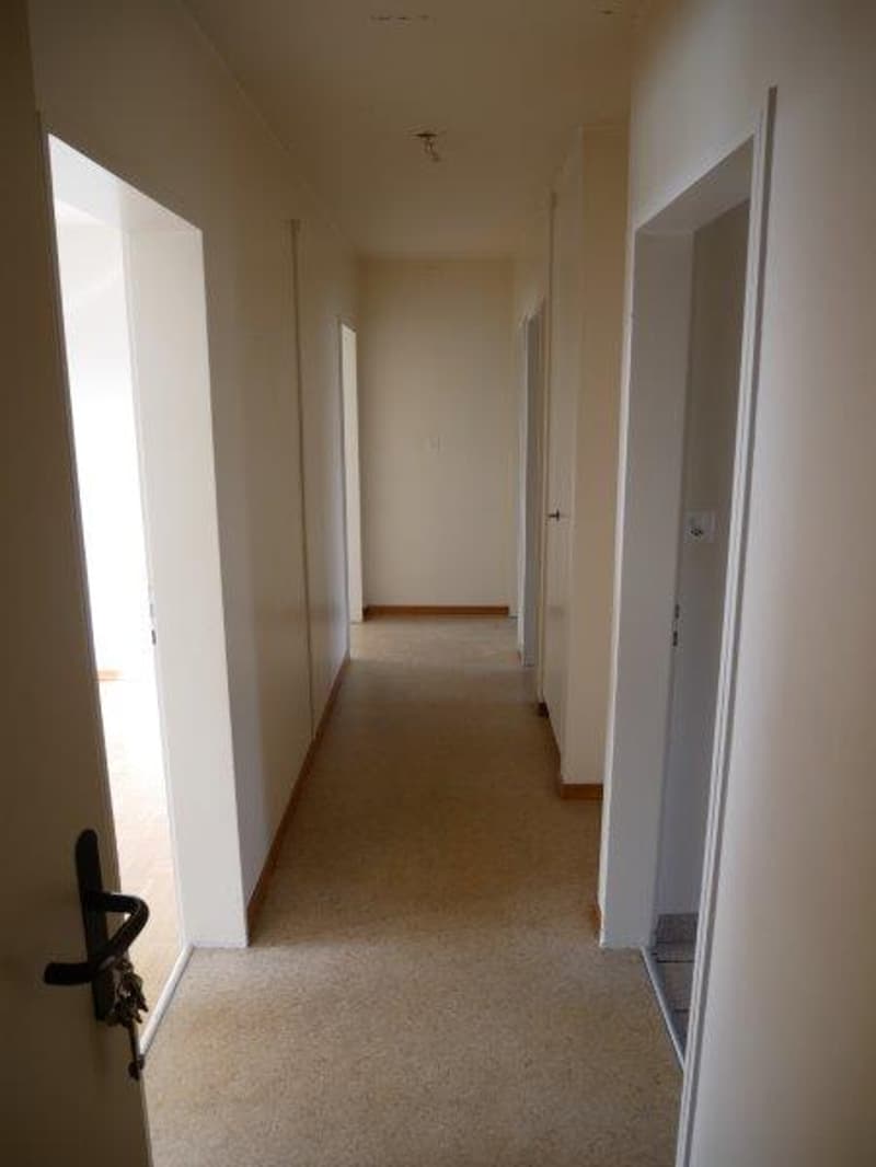 lumineux & spacieux appartement à louer!!! (6)
