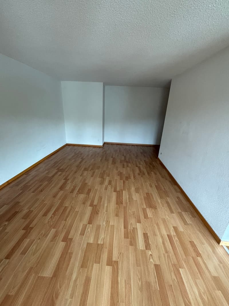 Gemütliche 2.5-Zimmer-Wohnung in Gontenschwil (4)