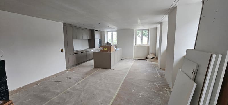 Erstvermietung 3 1/2-Zimmerwohnung im umgebauten Altbau mit 2 Balkonen (7)