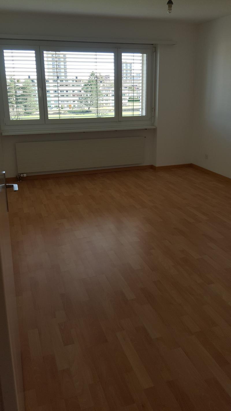 Wohnen am Rande von Regensdorf (5)
