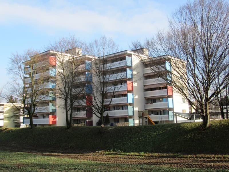 Wohnen am Rande von Regensdorf (1)
