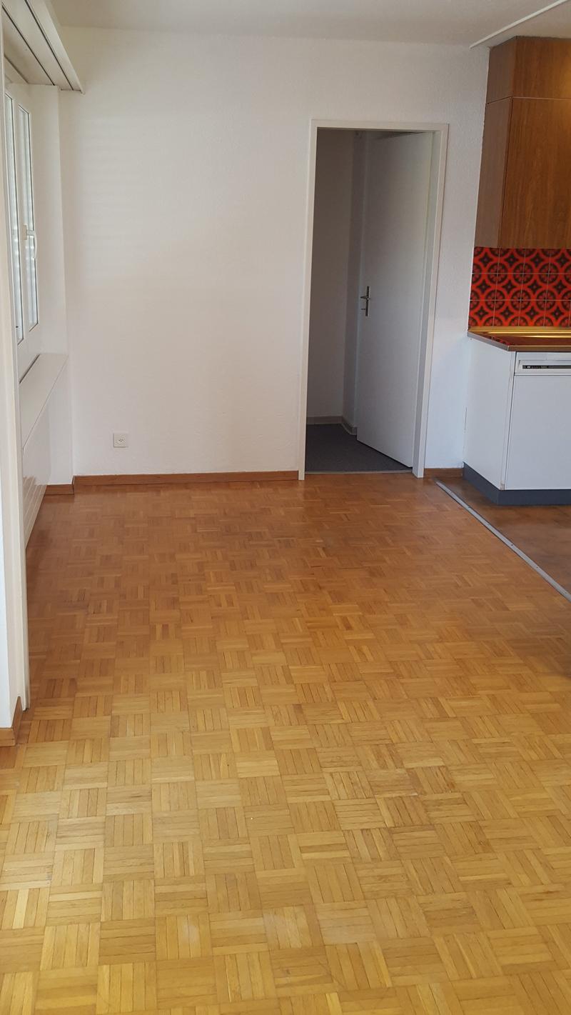 Wohnen am Rande von Regensdorf (3)