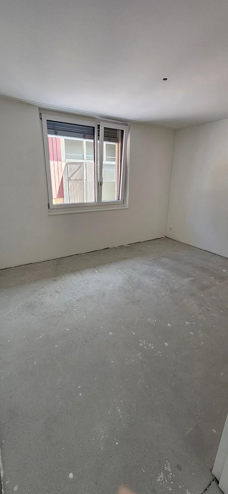 Grosse, helle 3 1/2-Zimmer-Neubauwohnung (3)