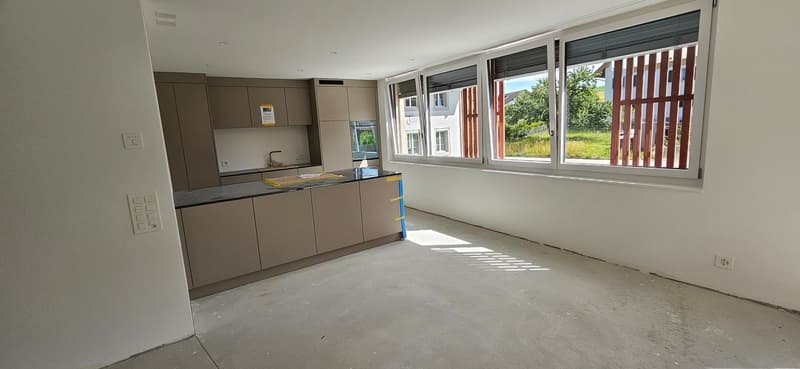 Grosse, helle 3 1/2-Zimmer-Neubauwohnung (9)