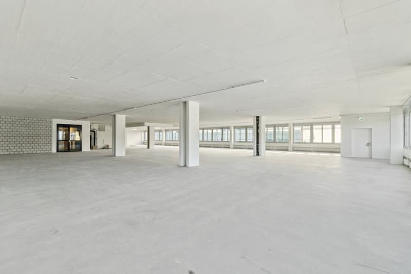 open room, white ceiling, white walls, concrete floor, pillars, windows, doors
