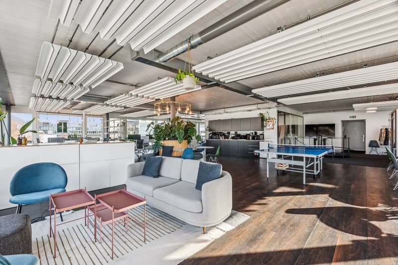 Moderne Büros mit schöner Terrasse bei der Hardbrücke (6)