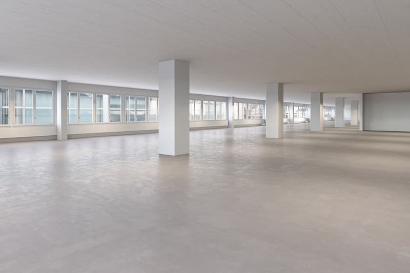 700m2 helle und vielseitige Gewerbe- / Bürofläche - viele Parkplätze (2)