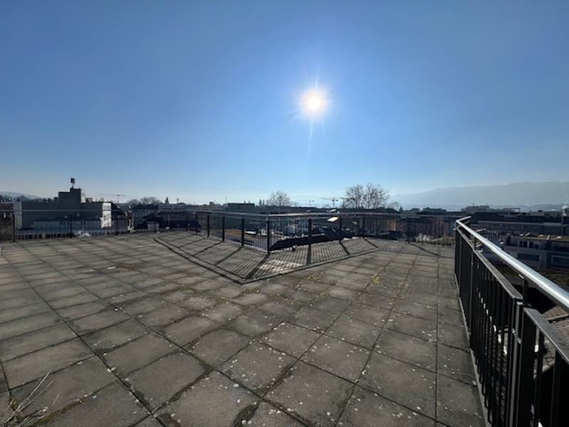 Helle und moderne Bürofläche mit exklusiver Terrasse im Zürcher Seefeld (4)