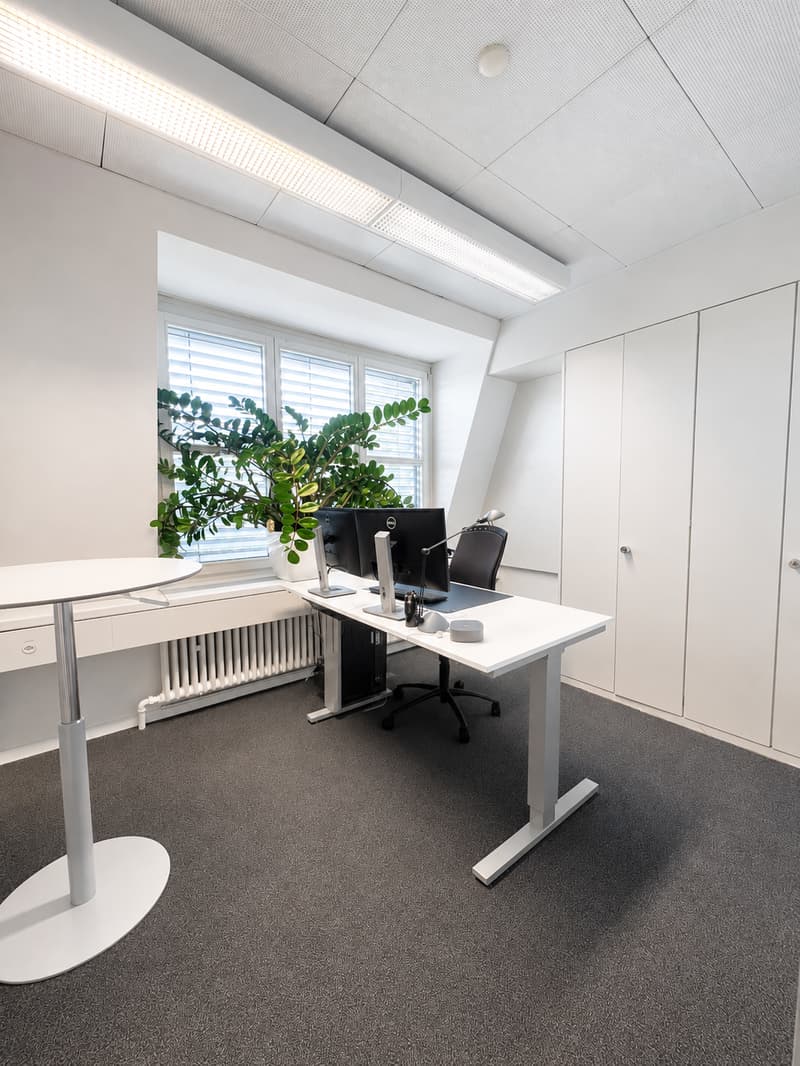 Bezugsbereite Bürofläche mit Terrasse und Parkplätzen (5)