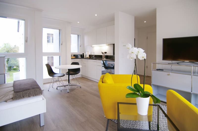 Hochwertig möbliertes Business Apartment, fully furnished! (1)