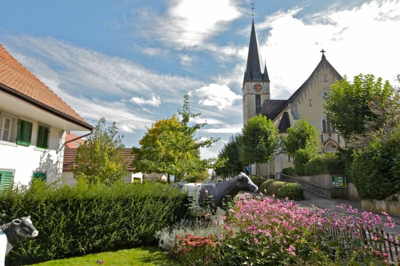 Last 4.5 room apartments available - Spreitenbach village center (6)