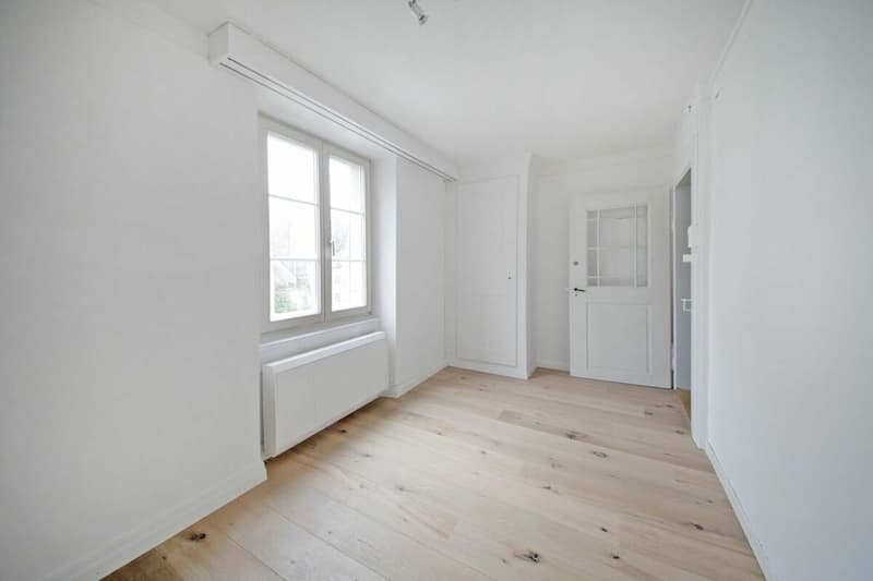 Appartement de 6 pièces rénové avec beaucoup de charme et jardin privé! (10)