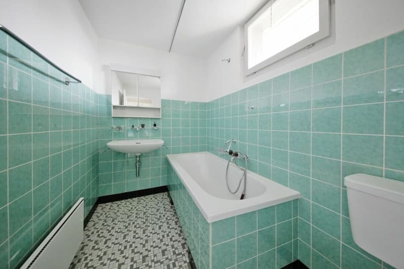 Appartement de 6 pièces rénové avec beaucoup de charme et jardin privé! (11)