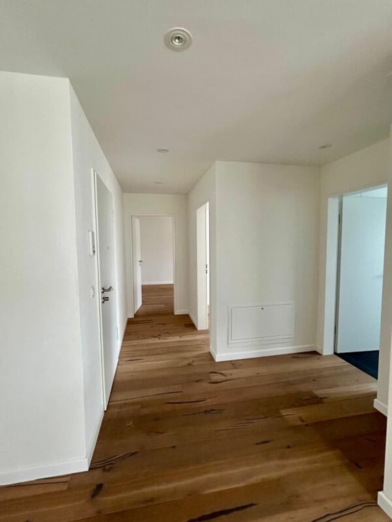 Appartement moderne de 3,5 pièces à Bischofszell (6)
