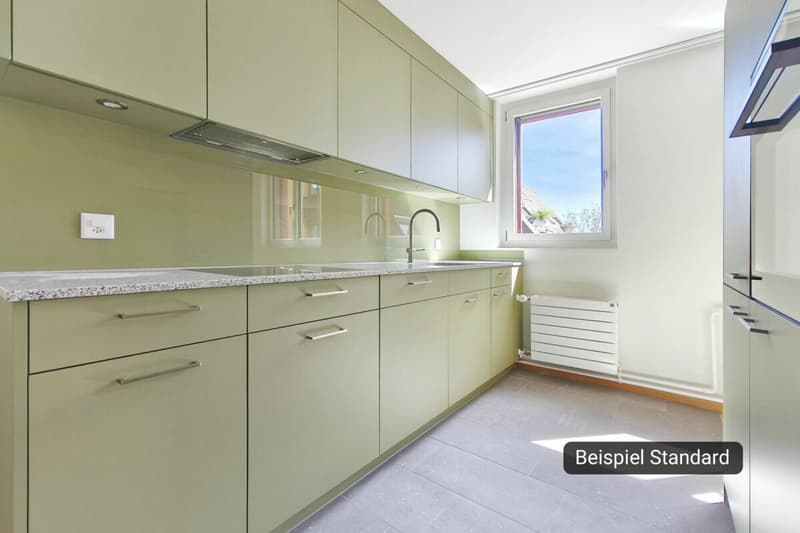 Helle Familienwohnung mit grosser Terrasse (3)