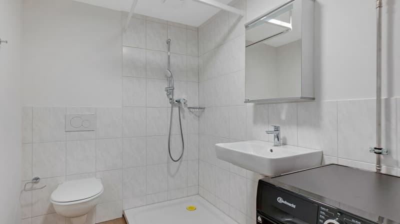 Gemütliche 1-Zimmerwohnung 1.OG an zentraler Lage in Diessenhofen (6)