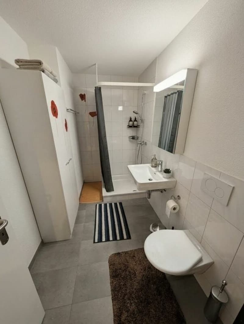 Grosszügige 3.5 Zimmerwohnung im EG mit Sitplatz in Wülflingen (9)