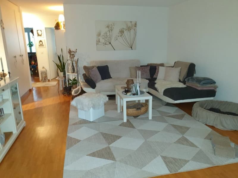 Top 3.5 Zimmer-Eigentumsstandardwohnung an ruhiger und sehr zentraler Lage (3)