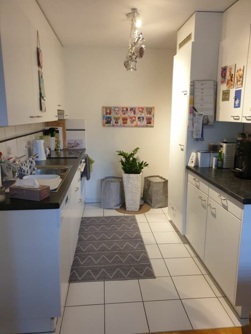 Top 3.5 Zimmer-Eigentumsstandardwohnung an ruhiger und sehr zentraler Lage (5)