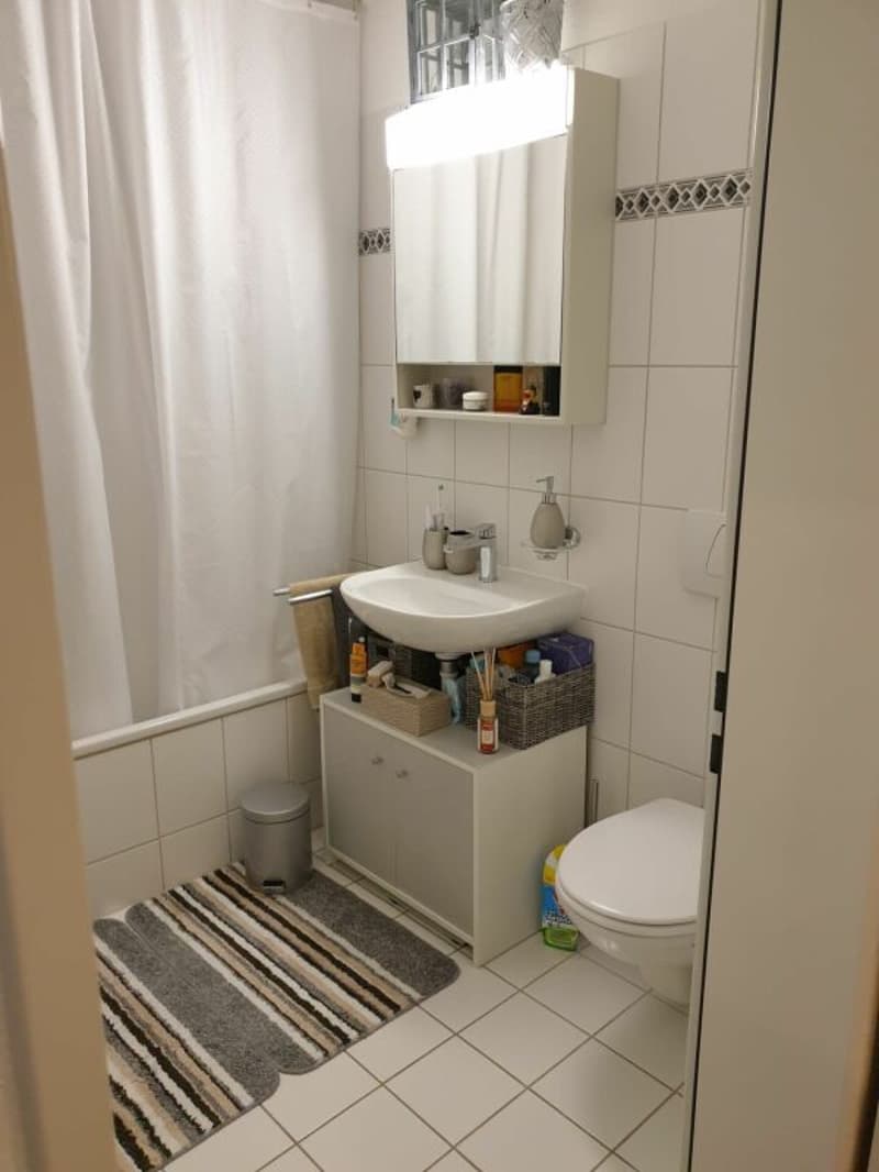 Top 3.5 Zimmer-Eigentumsstandardwohnung an ruhiger und sehr zentraler Lage (6)