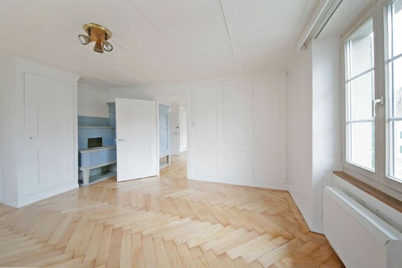 Renovierte 6-Zimmerwohnung mit viel Charme und privatem Garten! (2)