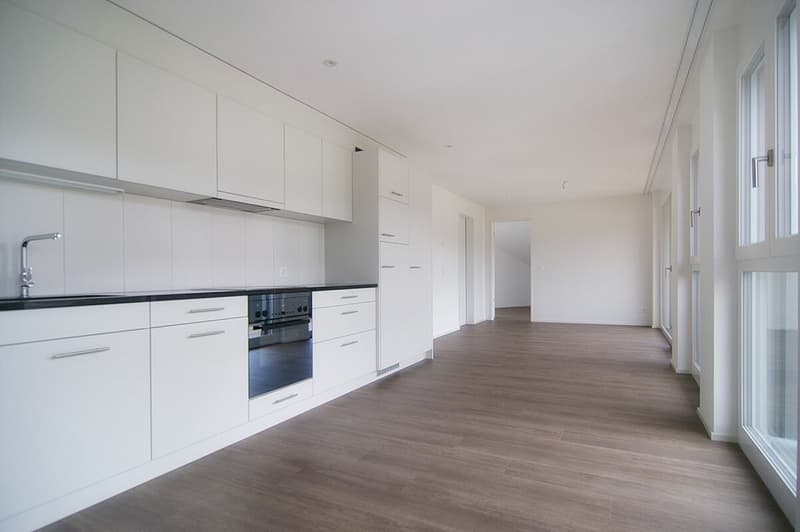 4.5 Zimmer Designer Wohnung zu vermieten (3)
