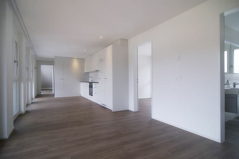 4.5 Zimmer Designer Wohnung zu vermieten (2)