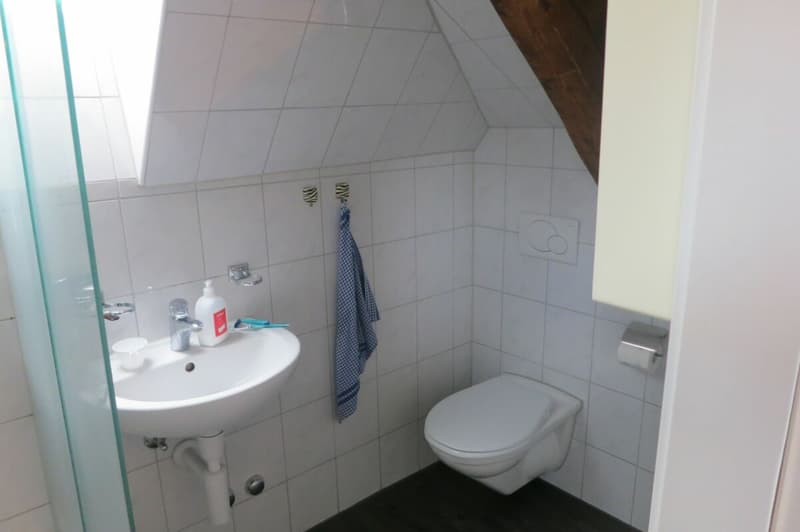 Gemütliche und möblierte 1.5-Zimmerwohnung in Winterthur (5)
