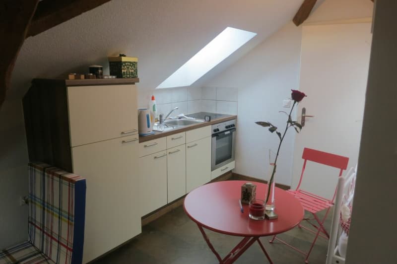 Gemütliche und möblierte 1.5-Zimmerwohnung in Winterthur (2)