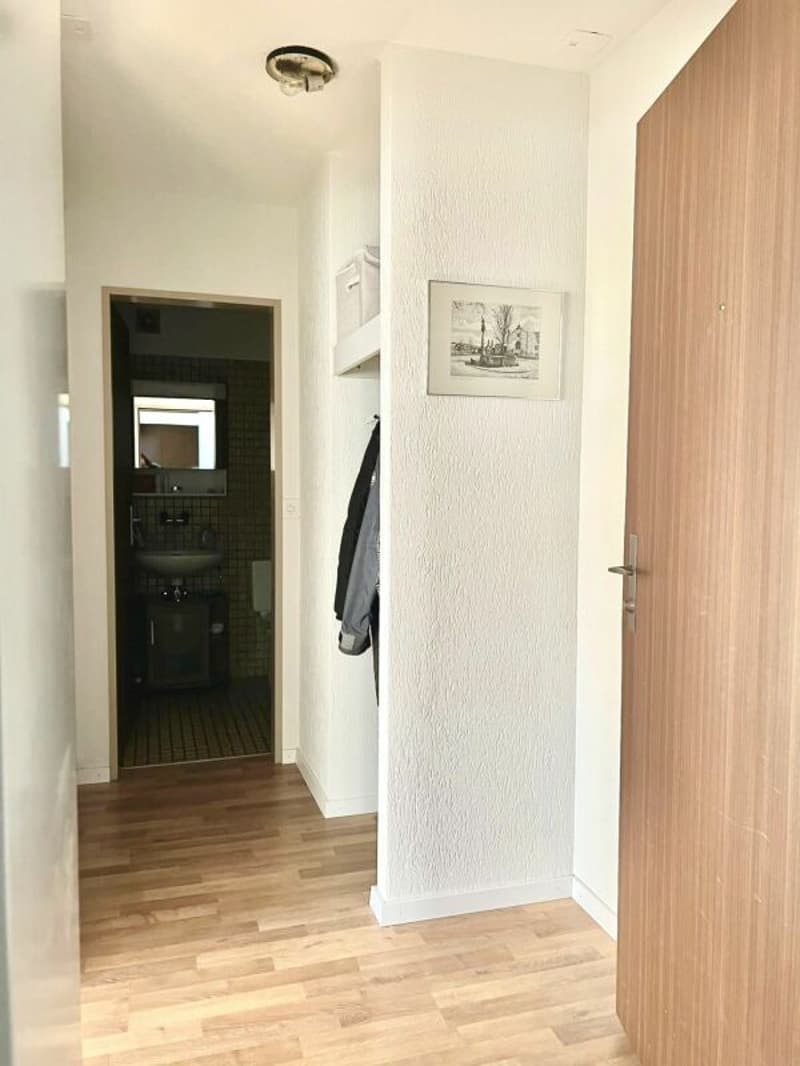 Helle gemütliche 2-Zimmerwohnung mit Balkon (6)