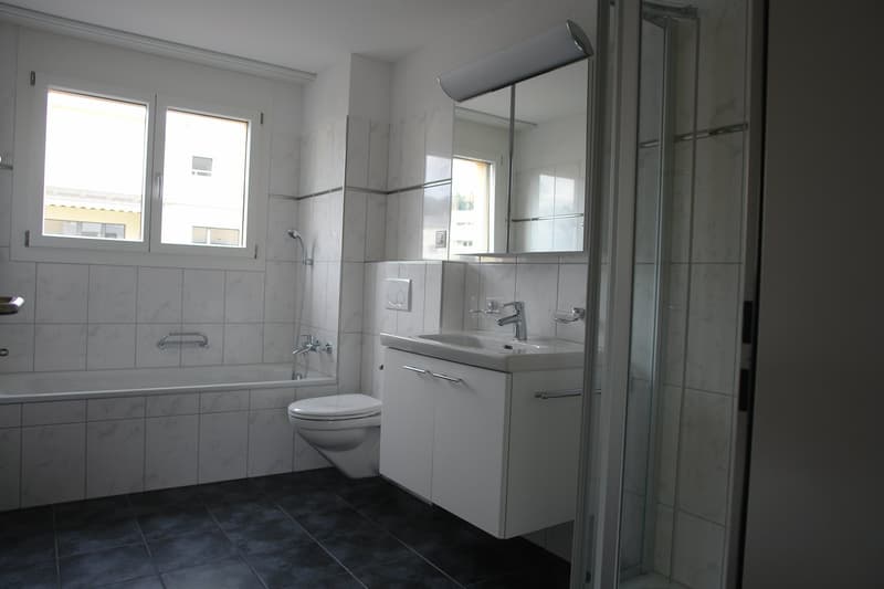 3½-Zimmer-Wohnung mit Sitzplatz (5)