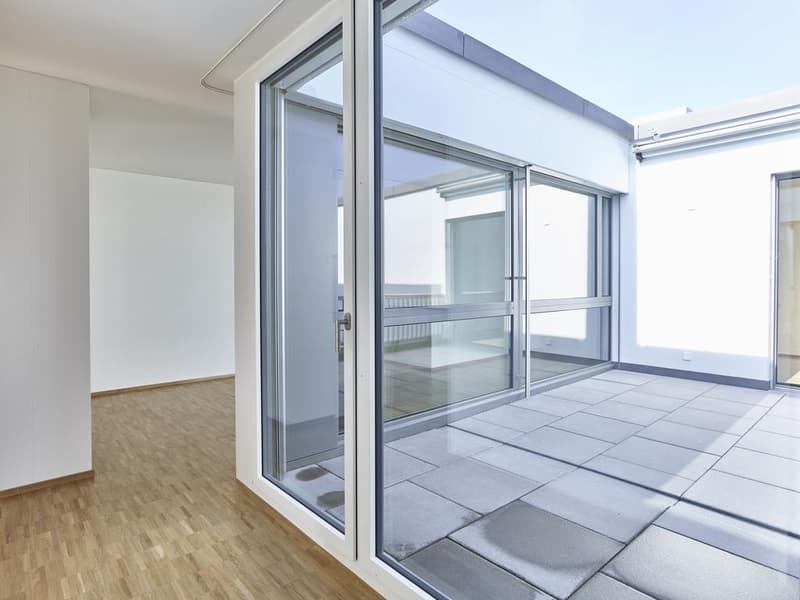 Hier beginnt Ihr neues Zuhause  im Zürcher Freilager! (5)