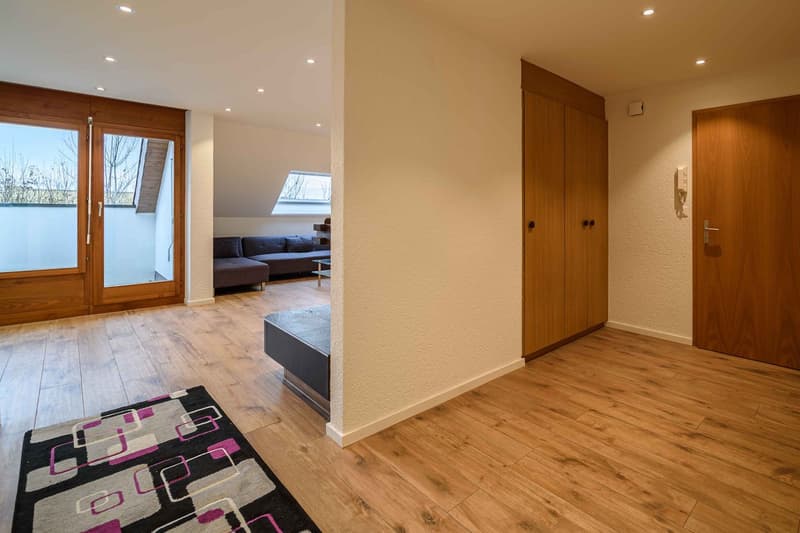 Wunderschöne grosse neu renovierte 1.5 Zimmer Luxus-Wohnung (13)