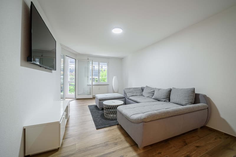 Neu renovierte große 3.5 Zimmerwohnung mit Anbindung an privatem großen Park / Swimmingpool (5)