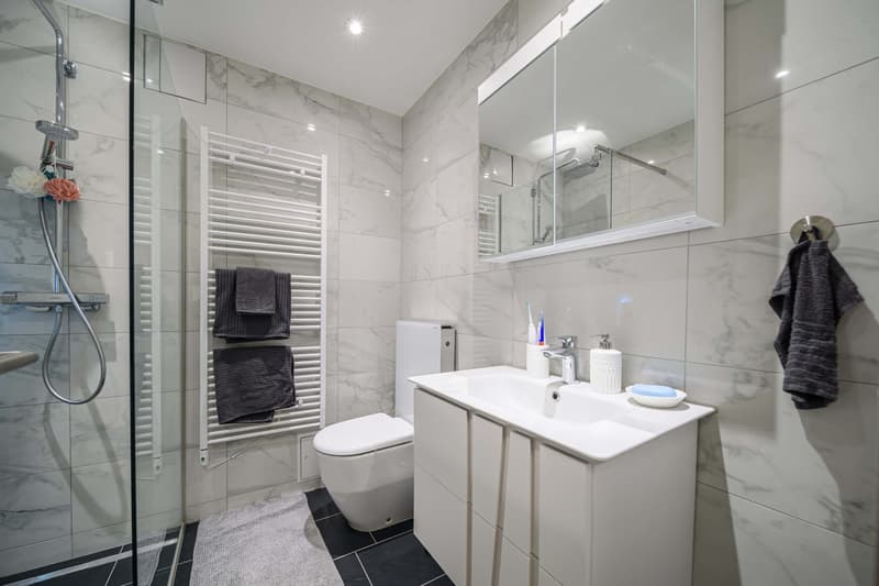 Neu renovierte große 3.5 Zimmerwohnung mit Anbindung an privatem großen Park / Swimmingpool (3)