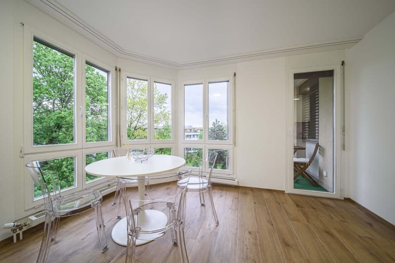 Neu renovierte große 3.5 Zimmerwohnung mit Anbindung an privatem großen Park / Swimmingpool (15)