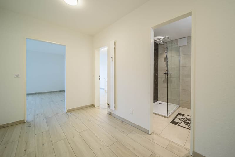 Bathroom with a shower, light wood floor, modern design, clean and empty