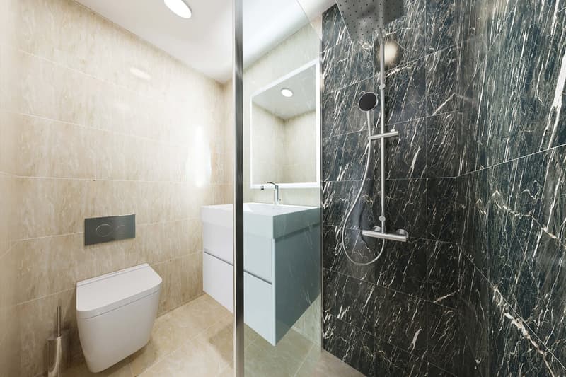 Neu renovierte große 4.5 Zimmerwohnung mit Anbindung an privatem großen Park / Swimmingpool (3)