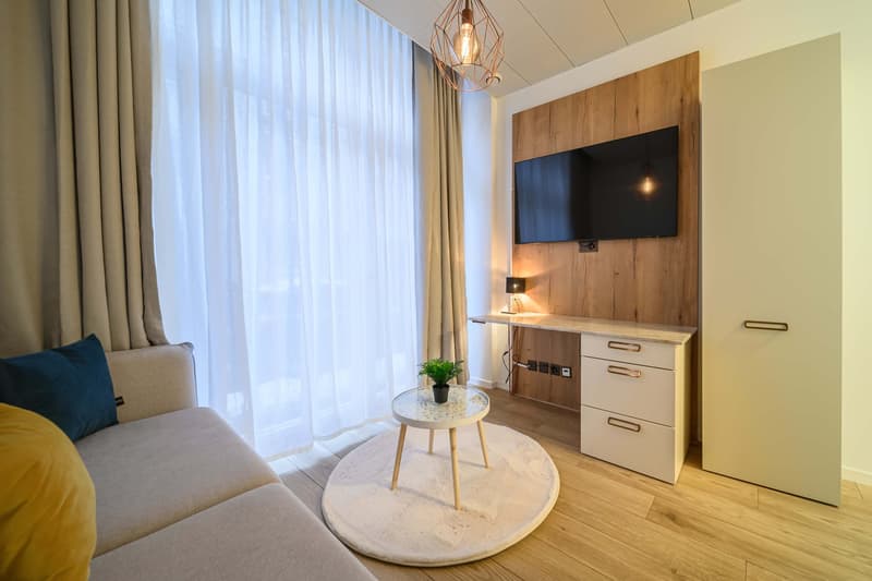 stunning 1.5 Room serviced Apartment in the City of Zurich (4)