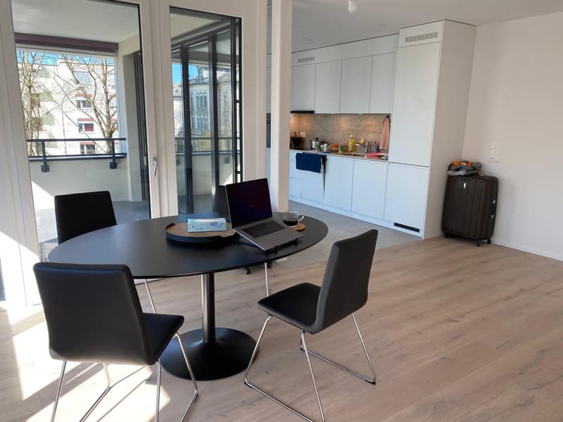 *EXKLUSIV* Ihre Traumwohnung (Attika) im Neubau Areal Freiegg (3)