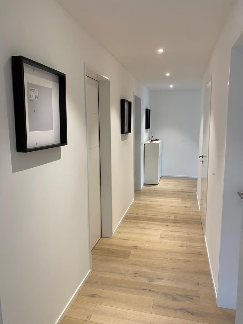 *EXKLUSIV* Ihre Traumwohnung (Attika) im Neubau Areal Freiegg (5)