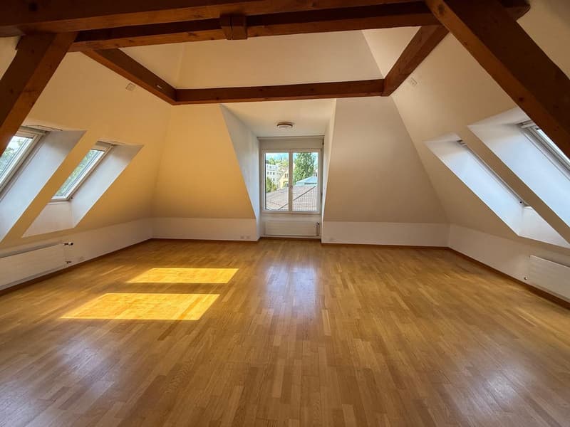 Charmante 2-Zimmer-Wohnung an der Rieterstrasse in Zürich 8002 – ab sofort verfügbar! (2)