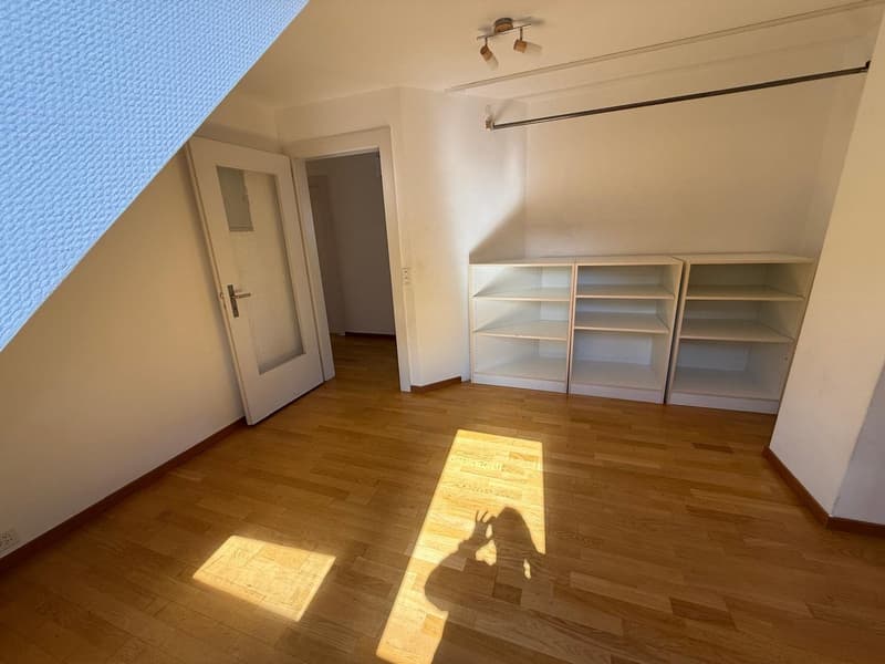 Charmante 2-Zimmer-Wohnung an der Rieterstrasse in Zürich 8002 – ab sofort verfügbar! (6)