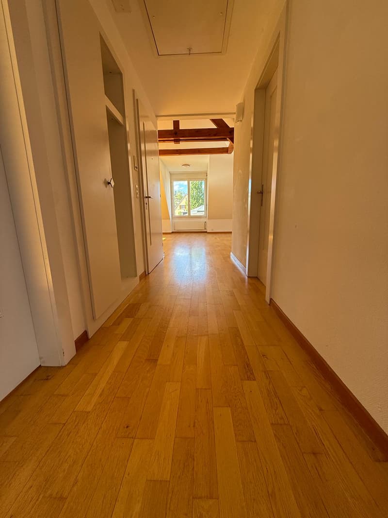 Charmante 2-Zimmer-Wohnung an der Rieterstrasse in Zürich 8002 – ab sofort verfügbar! (1)