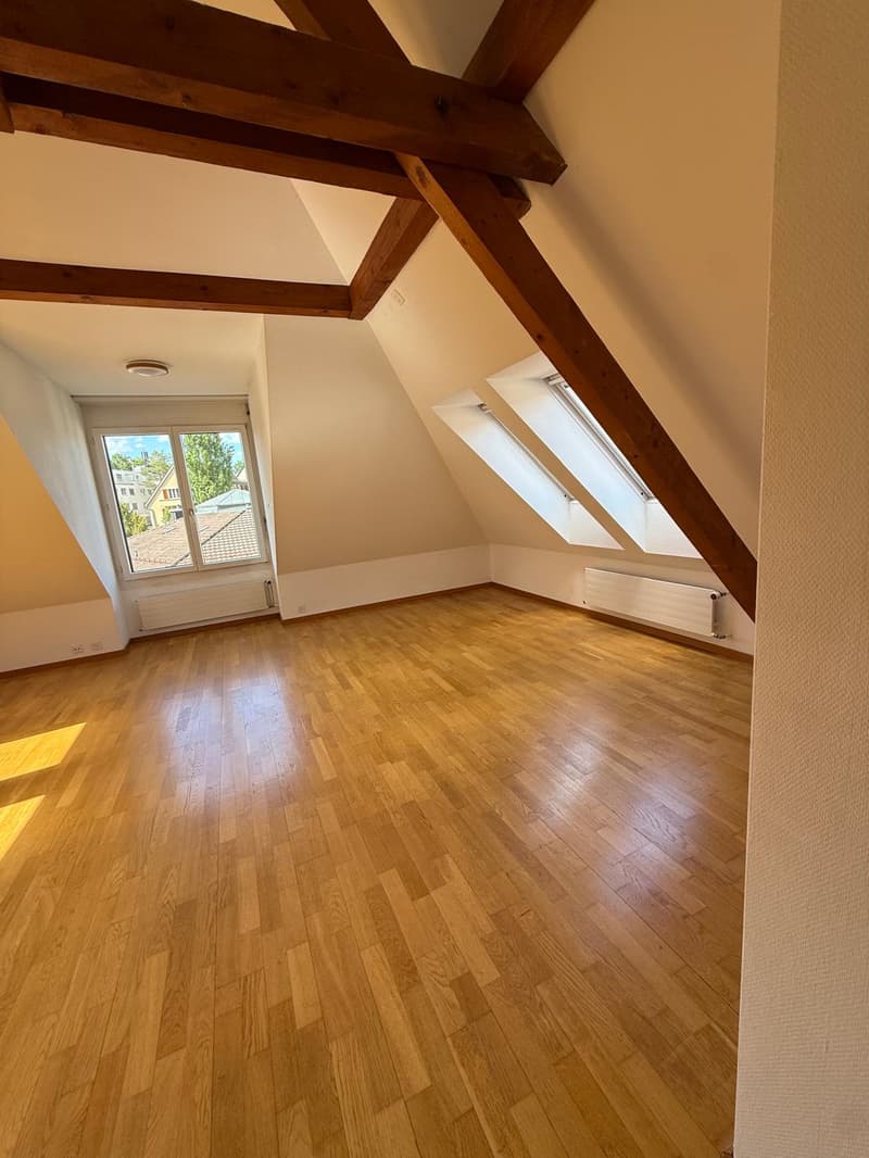 Charmante 2-Zimmer-Wohnung an der Rieterstrasse in Zürich 8002 – ab sofort verfügbar! (4)