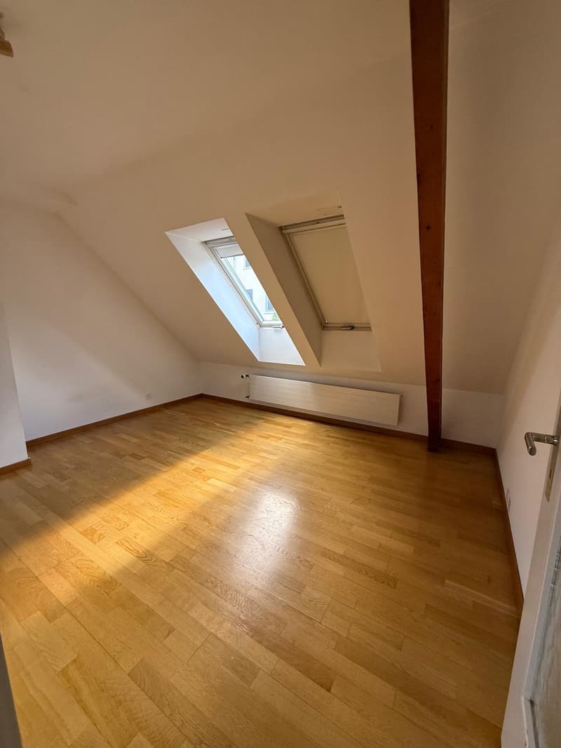 Charmante 2-Zimmer-Wohnung an der Rieterstrasse in Zürich 8002 – ab sofort verfügbar! (7)