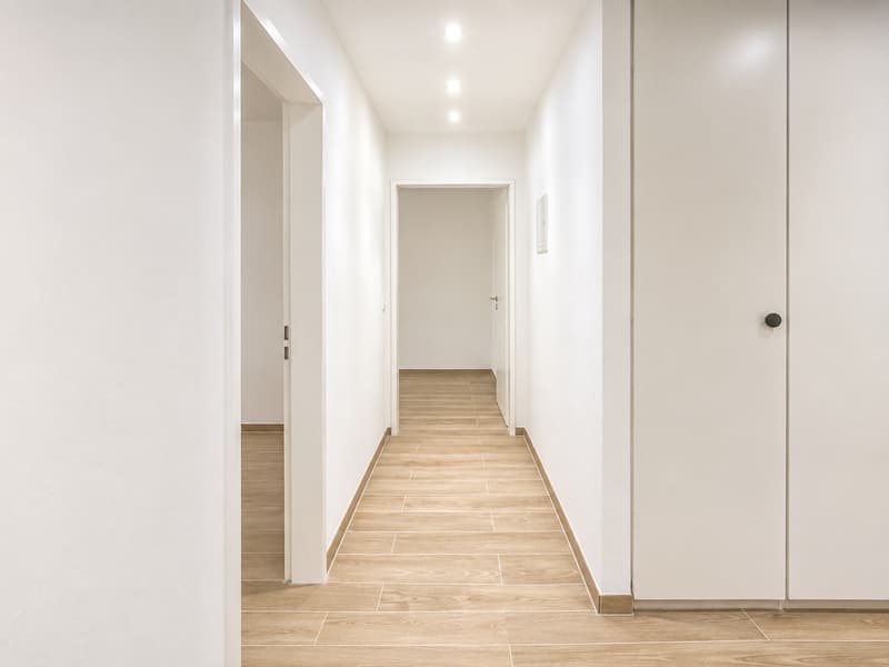 Neu renovierte große 4.5 Zimmerwohnung mit Anbindung an privatem großen Park (4)