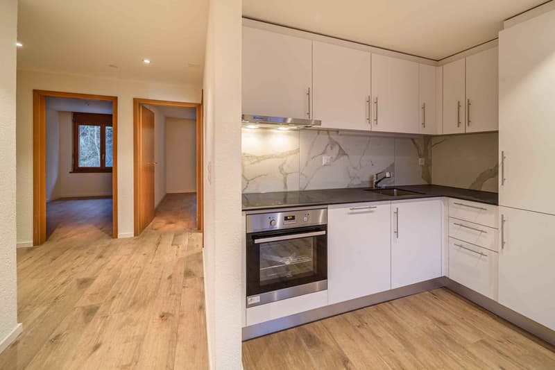 Exklusive 3.5-Zimmer-Luxuswohnung – frisch renoviert & bezugsbereit! (1)