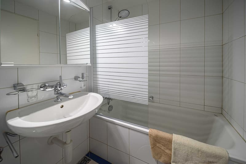 Exklusive 1.5-Zimmer-Wohnung in Zug – Neu renoviert & modern möbliert mit Seesicht. (10)
